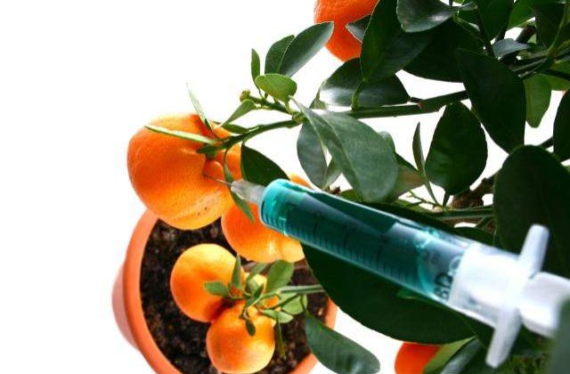 Cele mai incitante "Health News" din 2010