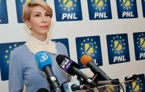 Turcan vrea comisie parlamentara de ancheta pentru stergerea datoriilor Rompetrol de catre guvernul Ponta