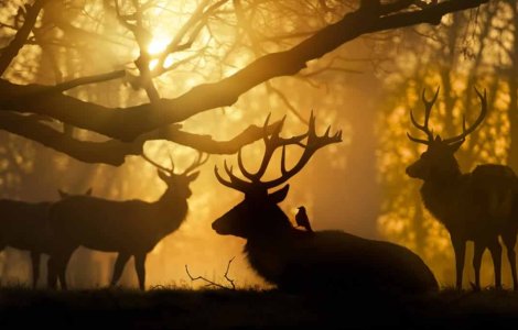  Top  10 imagini splendide care nu au suferit nicio modificare