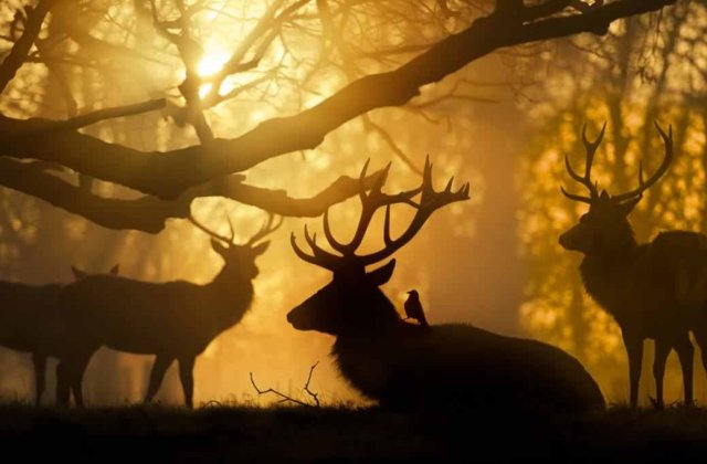 10 imagini splendide care nu au suferit nicio modificare