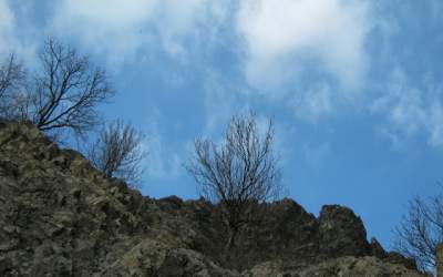 ASAS: Frigul din aprilie a...