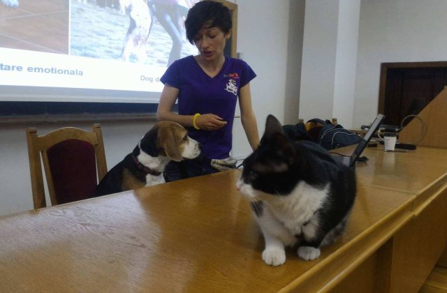 Studentii din Cluj isi pot aduce cainele sau pisica la cursuri