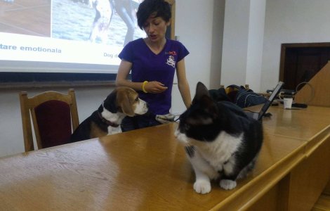 Studentii din Cluj isi pot aduce cainele sau pisica la cursuri
