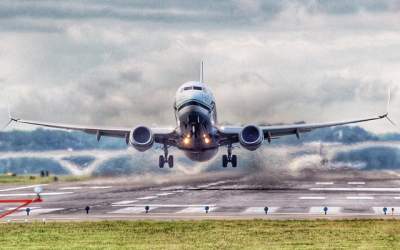 Top 10 vedete care se tem sa...