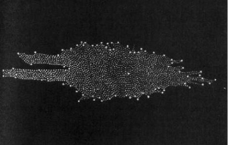  Top  6 descoperiri fascinante in Univers