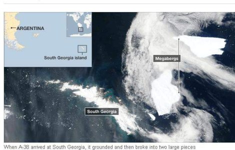 Unde se duc ghetarii sa moara?