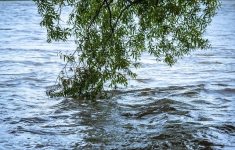 Cod GALBEN de inundatii pe rauri din 13 judete din sudul si centrul tarii