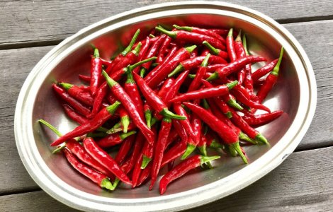  Top  10 motive pentru care ar trebui sa consumi ardei iute