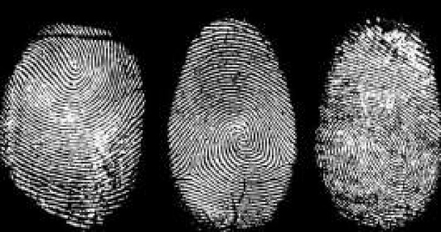 Un japonez a injunghiat cel putin 13 persoane intr-o statie de autobuz