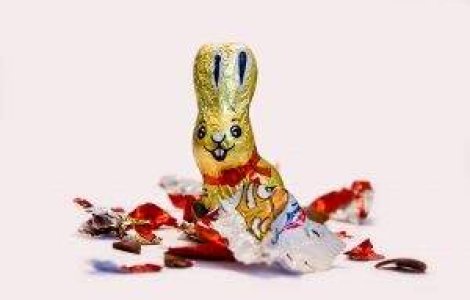Iepurasul si renul de ciocolata, motiv de controversa la Tribunalul EU