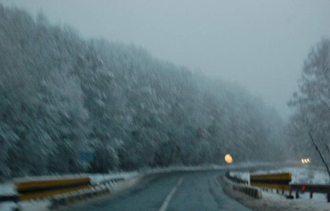  Top  Europa "tremura" de frig