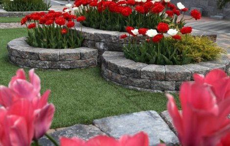  Foto  Care sunt cele mai noi tendinte in amenajarea gradinilor