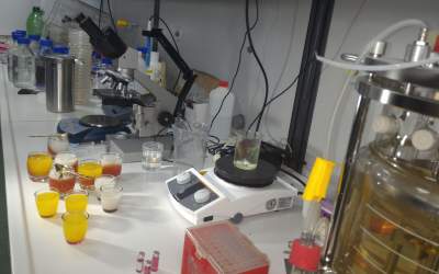 Cercetatorii din Cluj au...