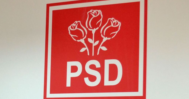 Partidele ne costa aproape 500.000 de euro pe luna