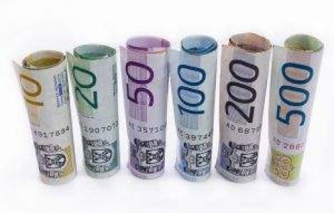  Top  Bugetele ministerelor pentru anul 2011