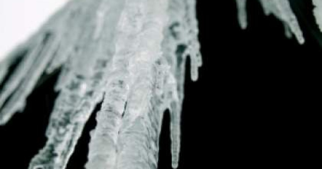 Alpinist, ucis de un turtur