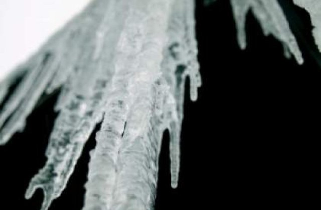 Alpinist, ucis de un turtur