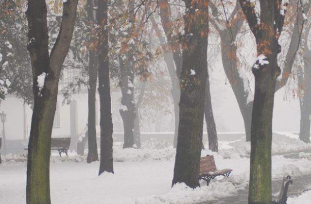 Cea mai scazuta temperatura din acest sezon