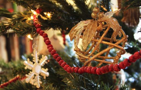  Video  Brazii de Craciun pot provoca depresii