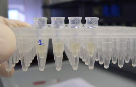 Bacteriile rudimentare, vinovate de ADN-ul speciilor actuale