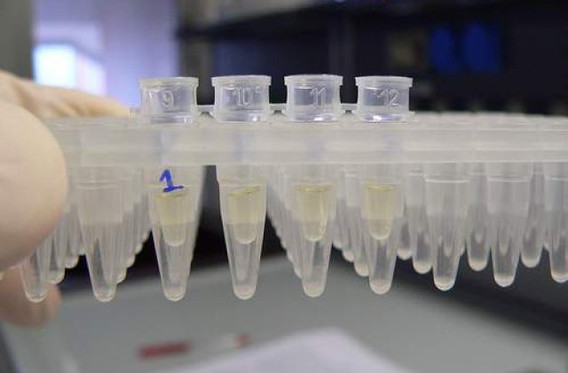 Bacteriile rudimentare, vinovate de ADN-ul speciilor actuale