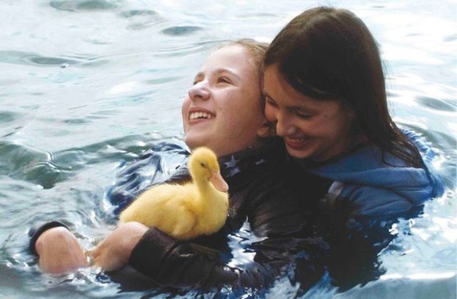 KINOdiseea Altfel incepe pe 15 mai la Bucuresti!