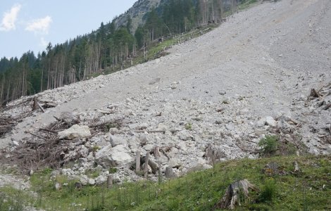 Greenpeace solicita interventia Romsilva intr-un caz de alunecari de teren iminente