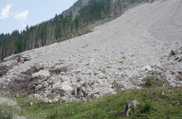 Greenpeace solicita interventia Romsilva intr-un caz de alunecari de teren iminente