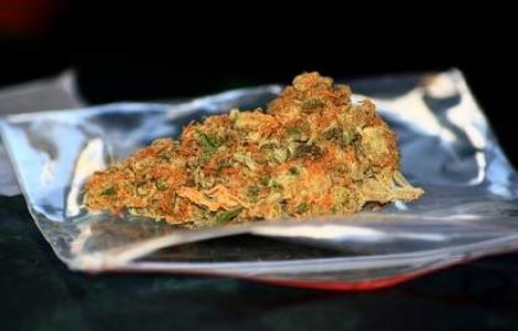 Timisoara: Vanzarea de etnobotanice, interzisa langa scoli