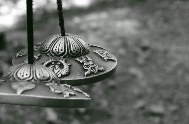 Zodiile si spiritul Craciunului