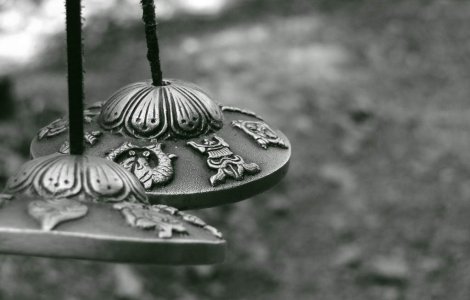 Zodiile si spiritul Craciunului