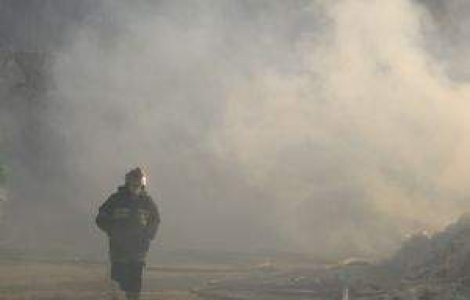  Top  Cine se face vinovat pentru explozia de la Bacau?