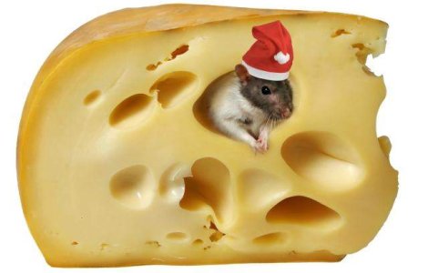  Top  Ce fac politicienii de Sarbatori?