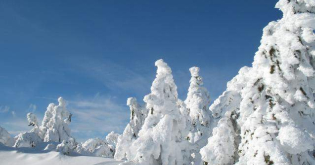 Cum va fi vremea de Craciun?