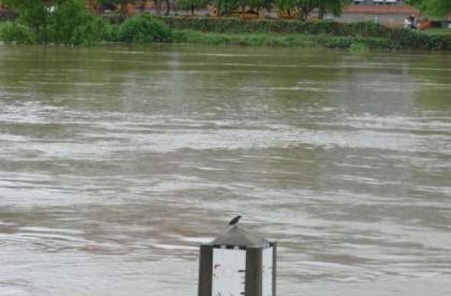 Satu Mare: Peste 30 de persoane, evacuate in urma inundatiilor