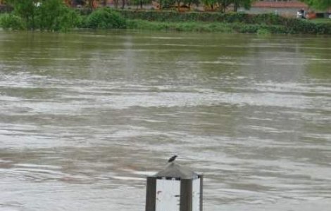 Satu Mare: Peste 30 de persoane, evacuate in urma inundatiilor