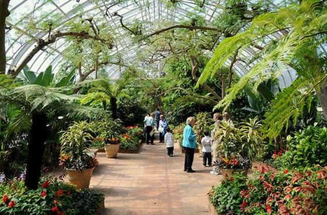 Roman, gasit mort intr-o sera din Marea Britanie