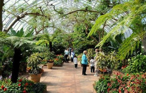 Roman, gasit mort intr-o sera din Marea Britanie