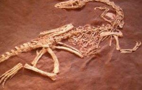 Cum va arata cel mai modern muzeu din Romania