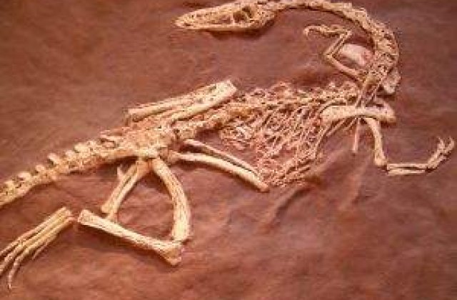 Cum va arata cel mai modern muzeu din Romania