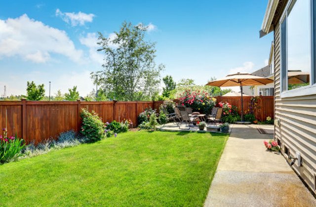 Gradina la romani: care sunt preferintele si cum poate fi educata piata