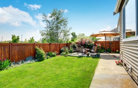 Gradina la romani: care sunt preferintele si cum poate fi educata piata