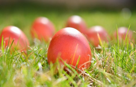  Top  Traditii de Inaltarea Domnului: Ce este bine sa faci pe 25 mai