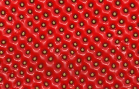 Cercetatorii vor sa modifice genomul capsunilor si al arborelui de cacao