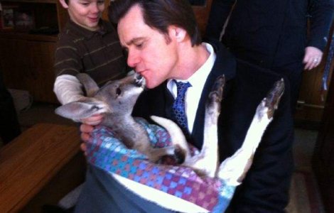 Jim Carrey a primit de Craciun un pui de cangur