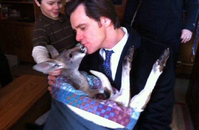 Jim Carrey a primit de Craciun un pui de cangur