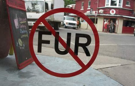  Video  Protest inedit impotriva blanurilor naturale