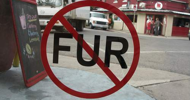  Video  Protest inedit impotriva blanurilor naturale