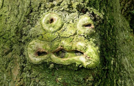  Top  Top 10 cele mai ciudate lucruri intalnite in natura