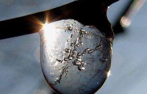 Timisoara: Lasat sa moara de frig